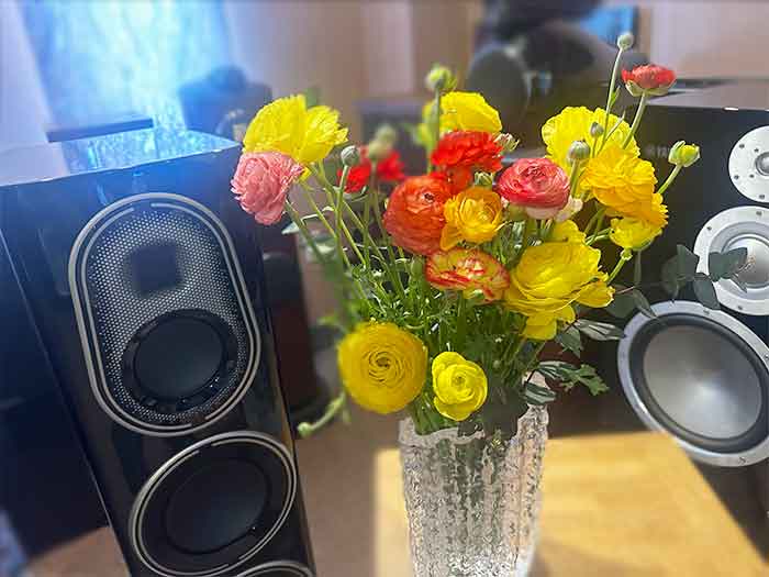 ラナンキュラス　店内フラワーアレンジ 