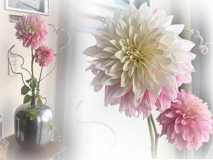 ダリア　フラワーアレンジメント 