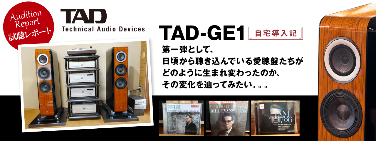 TAD-GE1　自宅導入記