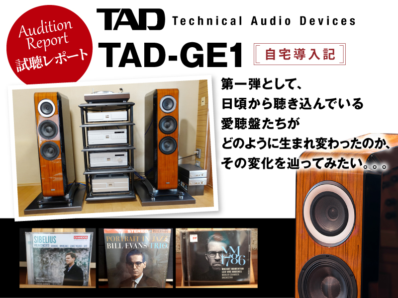 TAD-GE1　自宅導入記
