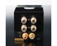 Carot One　ERNESTOLO 50k LIMITED　REAR