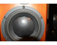 中古品 DYNAUDIO Focus110