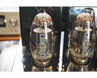 TRIODE MUSASHI　展示処分