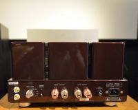 USED-Triode-TRX-P88S