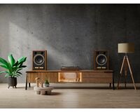 TANNOY  SGM 10