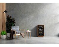 TANNOY  SGM 12