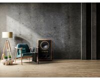 TANNOY  SGM 15