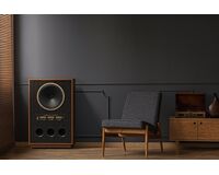 TANNOY  SGM 15