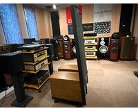 Martin Logan Classic ESL 9