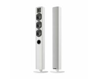 PIEGA  ACE50 ホワイト