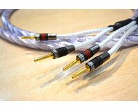 中古品：Signature Genesis Silver Spiral