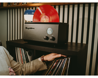 ortofon  Degritter Mk II