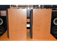 中古品：DIATONE DS-100ZV
