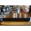 中古品：YAMAHA C-2a
