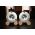 中古品：FOSTEX T96A
