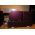 USED-Triode-TRX-P88S