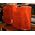 中古品 KEF XQ10