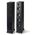 Paradigm  MONITOR SE 6000F