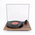 rega  Planar1 mk2  WN 60Hz