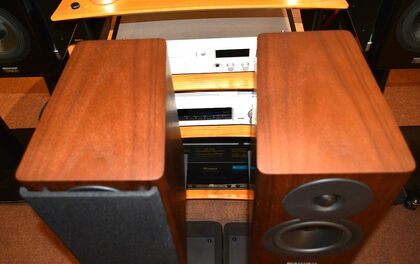 中古品 DYNAUDIO Evoke 10 WN