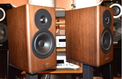 中古品 DYNAUDIO Evoke 10 WN