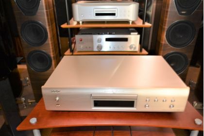 中古品 DCD-800NE