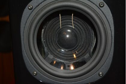 中古品：VienaAcoustics Haydn JUBILEE30th Anniversary Model