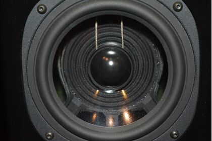 中古品：VienaAcoustics Haydn JUBILEE30th Anniversary Model