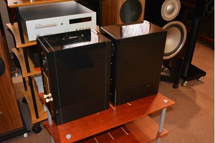 中古品：VienaAcoustics Haydn JUBILEE30th Anniversary Model