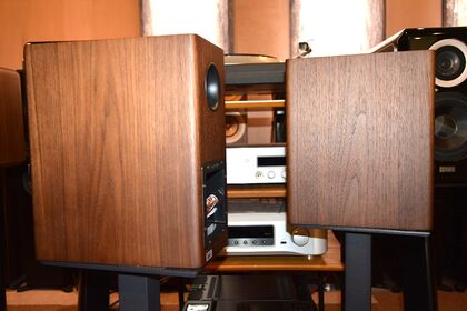 中古品 DYNAUDIO Evoke 10 WN