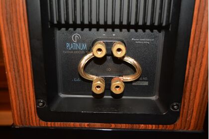 中古品 PLATINUM SOLO