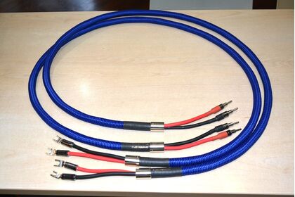 中古品：Zonotone Grandio SP-1