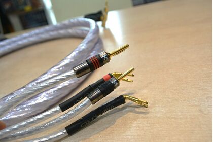 スピーカー側 Genesis Silver Spiral BI-WIRE