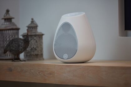LINN　301