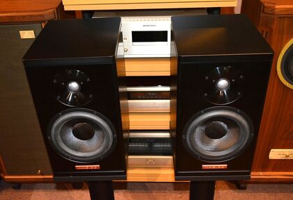 中古品：MAGICO  A1