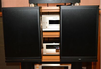 中古品：MAGICO  A1
