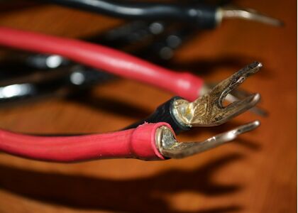 中古品 WireWorld  AECS3BW/2.0m