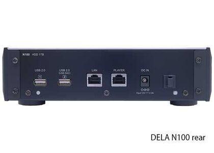 DELA　N100