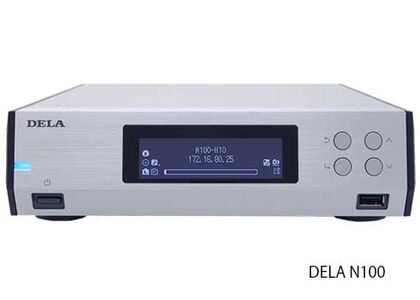 DELA　N100
