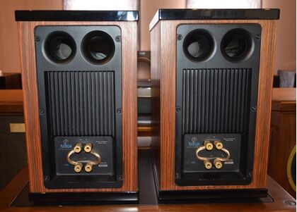 中古品 PLATINUM SOLO