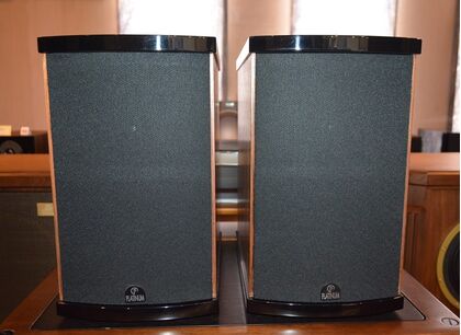 中古品 PLATINUM SOLO