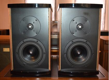 中古品 PLATINUM SOLO