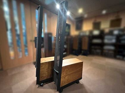 Martin Logan Classic ESL 9