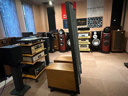 Martin Logan Classic ESL 9