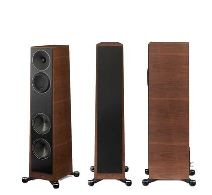 Paradigm Founder 80F　Walnut　
