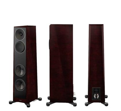 Paradigm Founder 80F 　Midnight Cherry