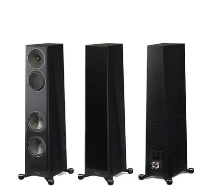 Paradigm Founder 80F 　Black Walnut