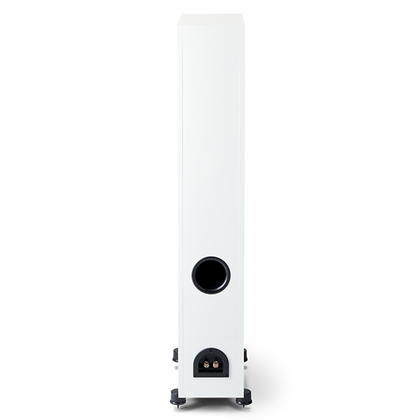 Paradigm  MONITOR SE 6000F