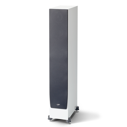 Paradigm  MONITOR SE 6000F