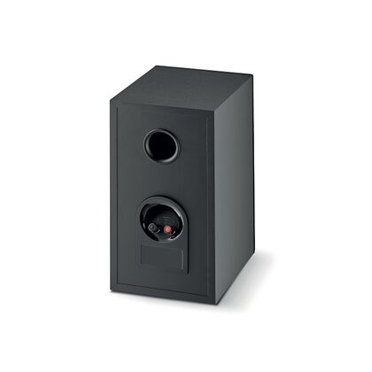 FOCAL THEVA N゜1 (B)